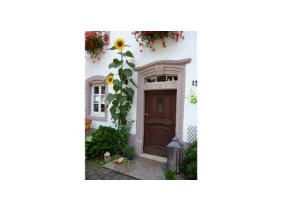 Apartment 6-Bettwohnung Dachgeschoß rechts - Outdoor photo 9