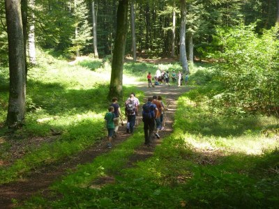 Apartment 6-Bettwohnung Dachgeschoß rechts - Outdoor photo 15