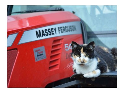 Apartment 6-Bettwohnung Dachgeschoß rechts - Outdoor photo 22