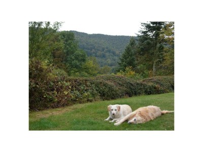 Apartment 6-Bett-Ferienhaus Bad/WC, 3 Schlafräume - Outdoor photo 11