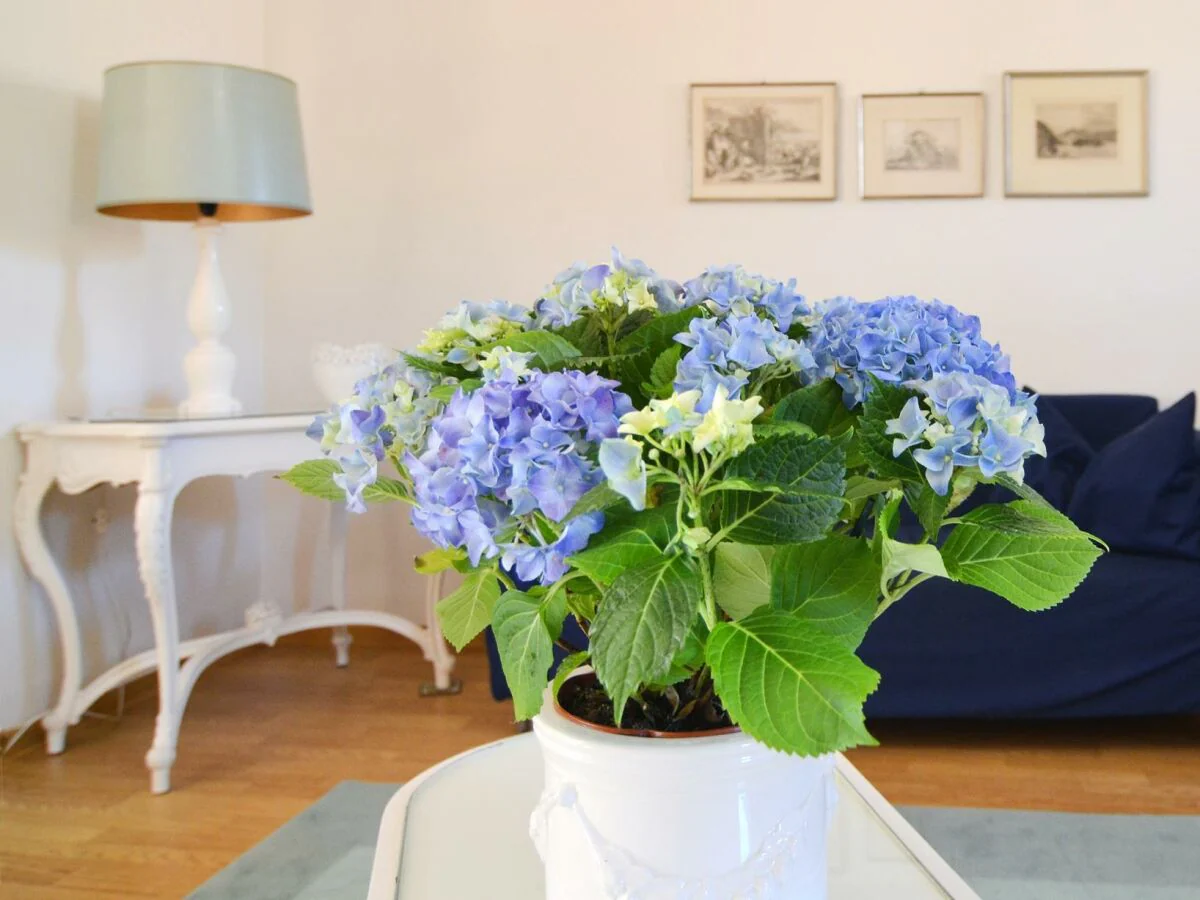 Apartment 6-Bettwohnung "Försterwohnung"