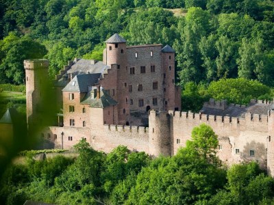 Apartment 6-Bettwohnung "Försterwohnung" - Outdoor photo 9