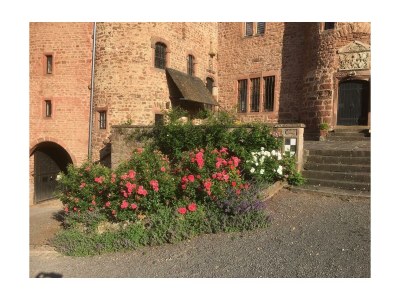 Apartment 6-Bettwohnung "Försterwohnung" - Outdoor photo 11