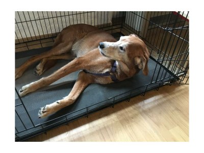 Apartment Ferienhaus WZ, Küche, Bad/WC, 2 Schlafräume - Outdoor photo 23