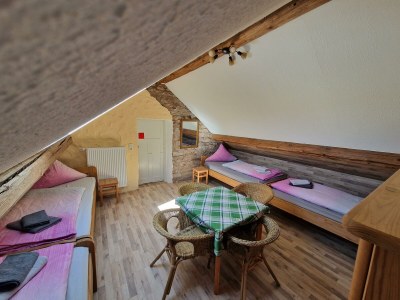 Apartment 12-Bett-Ferienhaus Du/Bad/WC (12 Erw, 2 Ki,1 Baby) - Features photo 13