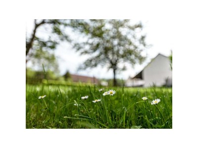 Apartment Ferienhaus Ehrenpreis -  bis 8 Personen - Outdoor photo 13