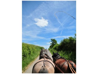 Apartment Ferienhaus Ehrenpreis -  bis 8 Personen - Outdoor photo 14