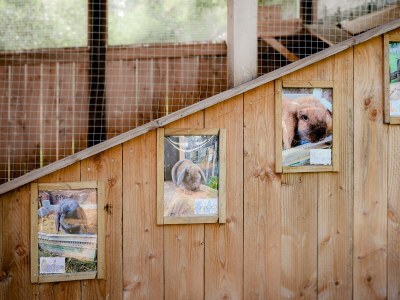 Apartment Ferienhaus Ehrenpreis -  bis 8 Personen - Features photo 47