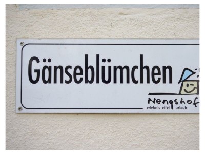 Apartment Ferienhaus Gänseblümchen - 6 Personen - Features photo 36