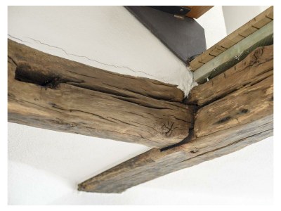 Apartment Ferienhaus Gänseblümchen - 6 Personen - Features photo 53