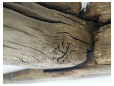 Apartment Ferienhaus Gänseblümchen - 6 Personen - Features photo 54