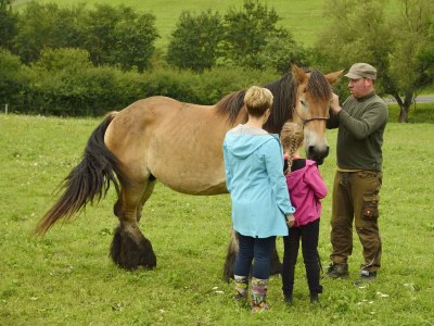 Apartment Ferienhaus Gänseblümchen - 6 Personen - Features photo 63