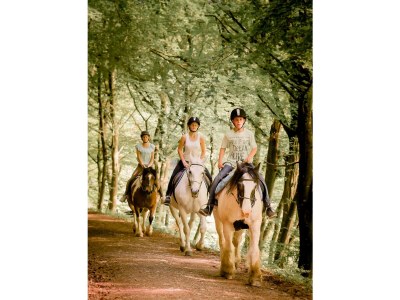 Apartment Ferienhaus Heublume -  bis zu 20 Personen - Outdoor photo 15