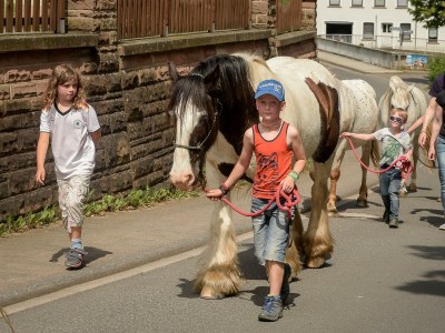 Apartment Ferienhaus Heublume -  bis zu 20 Personen - Outdoor photo 16
