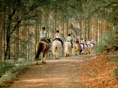 Apartment Ferienhaus Heublume -  bis zu 20 Personen - Outdoor photo 19