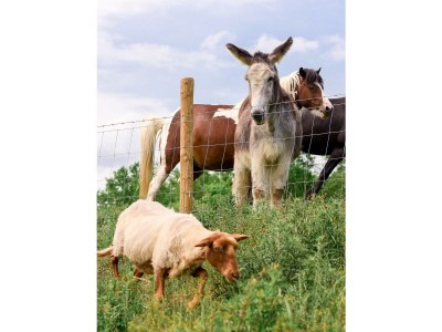 Apartment Ferienhaus Heublume -  bis zu 20 Personen - Outdoor photo 30