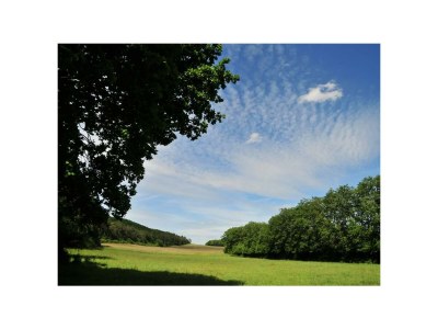 Apartment Ferienwohnung Kornblume  bis 6 Pers.- barrierefrei - Outdoor photo 8