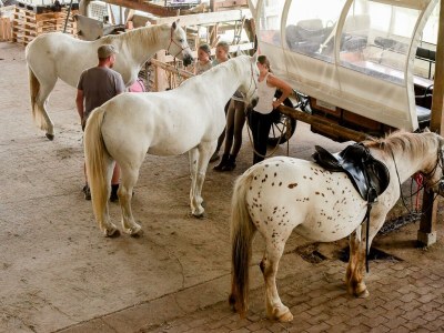 Apartment Ferienwohnung Kornblume  bis 6 Pers.- barrierefrei - Outdoor photo 17