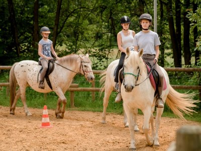 Apartment Ferienwohnung Kornblume  bis 6 Pers.- barrierefrei - Outdoor photo 26