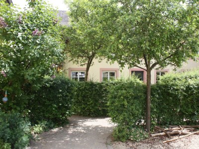 Apartment Ferienwohnung Kornblume  bis 6 Pers.- barrierefrei - Features photo 46