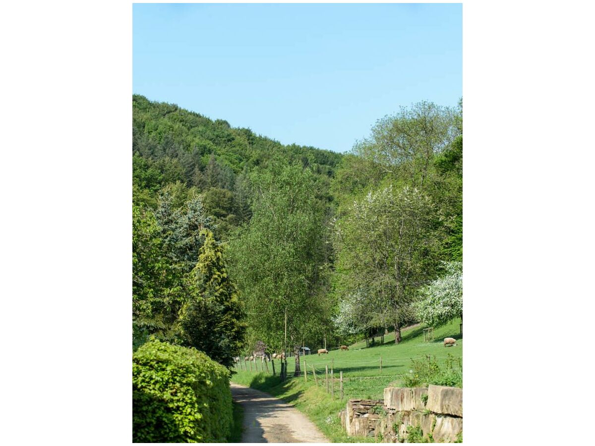 Apartment Ferienwohnung Mohnblume - bis 6 Personen - Outdoor photo 5