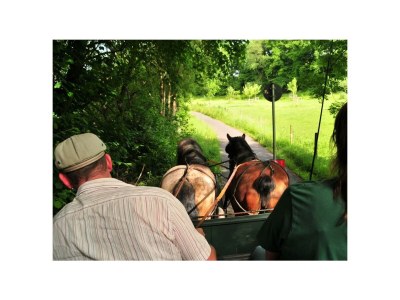 Apartment Ferienwohnung Mohnblume - bis 6 Personen - Outdoor photo 10