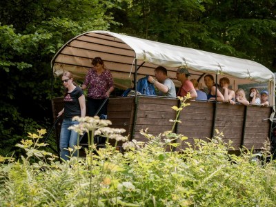 Apartment Ferienwohnung Mohnblume - bis 6 Personen - Outdoor photo 12