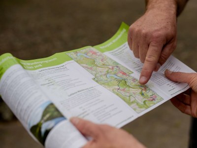 Apartment Ferienwohnung Mohnblume - bis 6 Personen - Outdoor photo 15