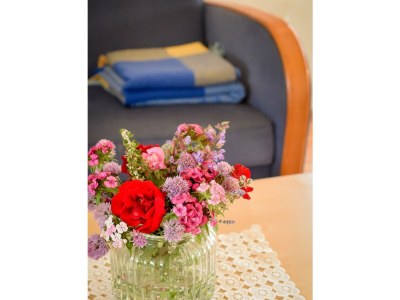 Apartment Ferienwohnung Mohnblume - bis 6 Personen - Outdoor photo 28