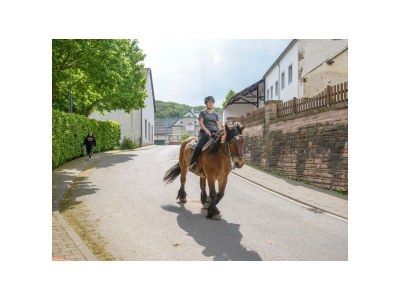 Apartment Ferienhaus Sonnenblume - bis 12 Personen - Outdoor photo 4