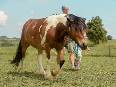Apartment Ferienhaus Sonnenblume - bis 12 Personen - Outdoor photo 17