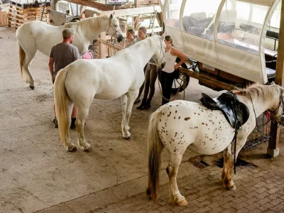 Apartment Ferienhaus Sonnenblume - bis 12 Personen - Outdoor photo 22