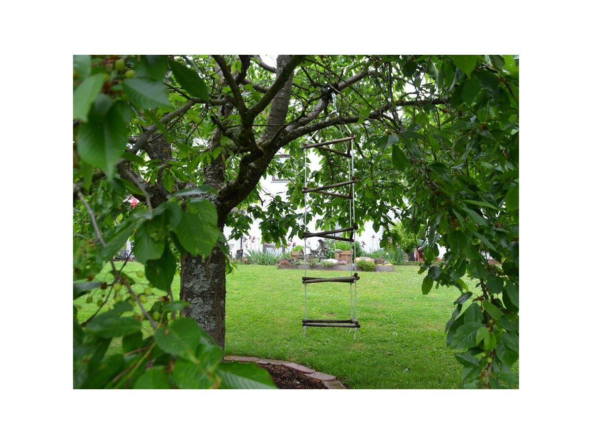 Apartment 2-Bett-Ferienwohnung Am Schneidersberg - Outdoor photo 2