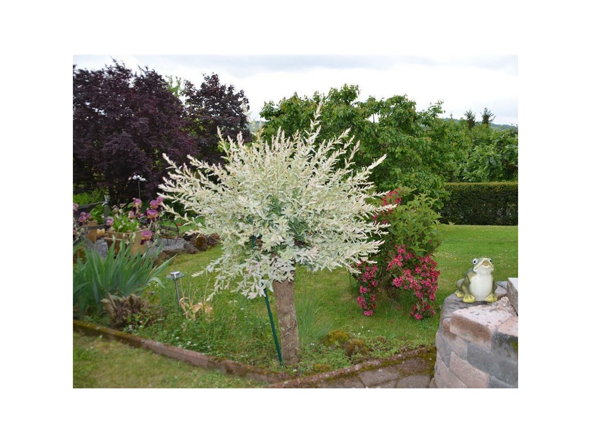 Apartment 2-Bett-Ferienwohnung Am Schneidersberg - Outdoor photo 3