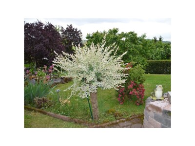 Apartment 2-Bett-Ferienwohnung Am Schneidersberg - Outdoor photo 3