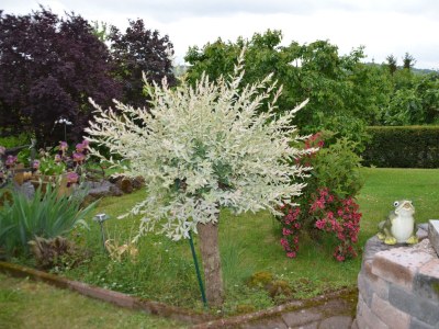 Apartment 2-Bett-Ferienwohnung Am Schneidersberg - Outdoor photo 13