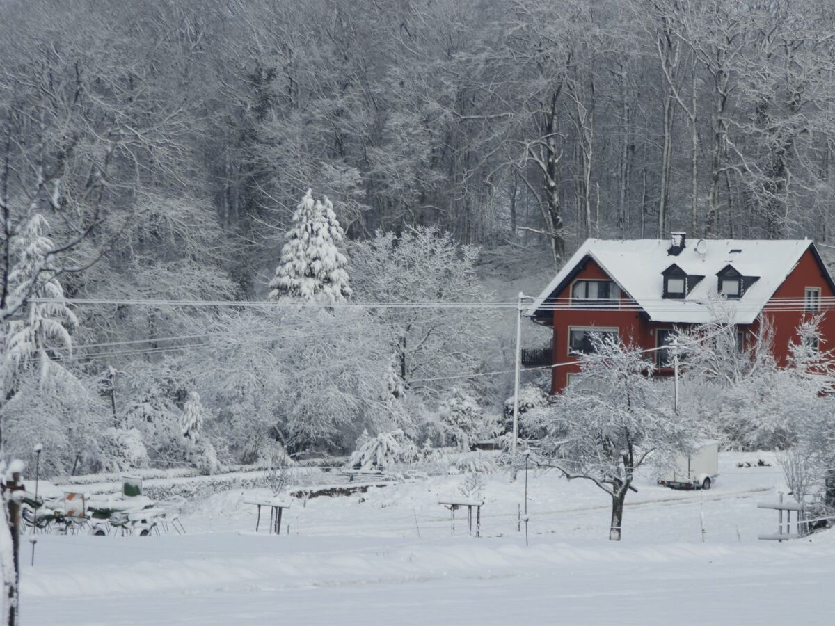 Apartment 5-Bettwohnung "Ilex" - Outdoor photo 5