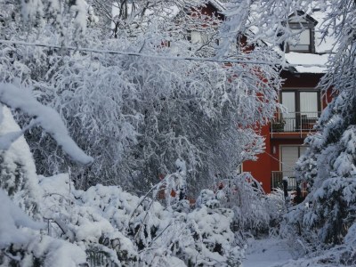 Apartment 5-Bettwohnung "Ilex" - Outdoor photo 6