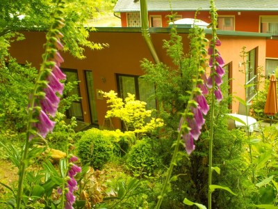 Apartment 5-Bettwohnung "Ilex" - Outdoor photo 8