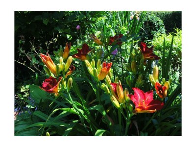 Apartment 5-Bettwohnung "Ilex" - Outdoor photo 26