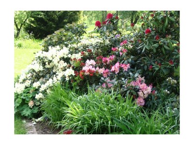 Apartment 5-Bettwohnung "Ilex" - Outdoor photo 27