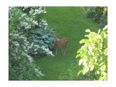 Apartment 5-Bettwohnung "Ilex" - Outdoor photo 28