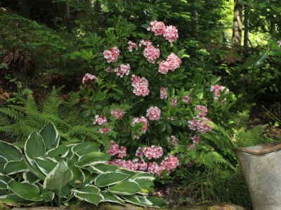 Apartment 5-Bettwohnung "Ilex" - Outdoor photo 35