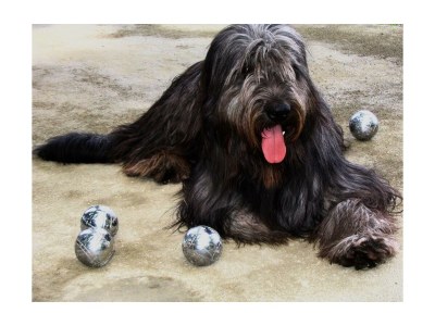 Apartment 5-Bettwohnung "Ilex" - Outdoor photo 37