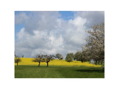 Apartment 5-Bettwohnung "Ilex" - Outdoor photo 43