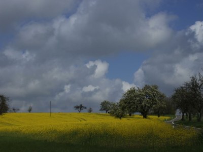 Apartment 5-Bettwohnung "Ilex" - Outdoor photo 44