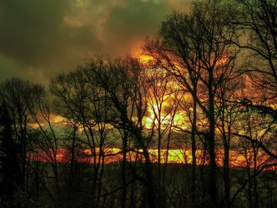 Apartment 5-Bettwohnung "Ilex" - Outdoor photo 45