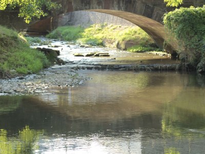 Apartment 5-Bettwohnung "Ilex" - Outdoor photo 47