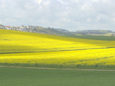 Apartment 5-Bettwohnung "Ilex" - Outdoor photo 52