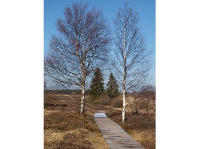 Apartment 3raum Apartment 1 bis 4Pers. - Outdoor photo 6